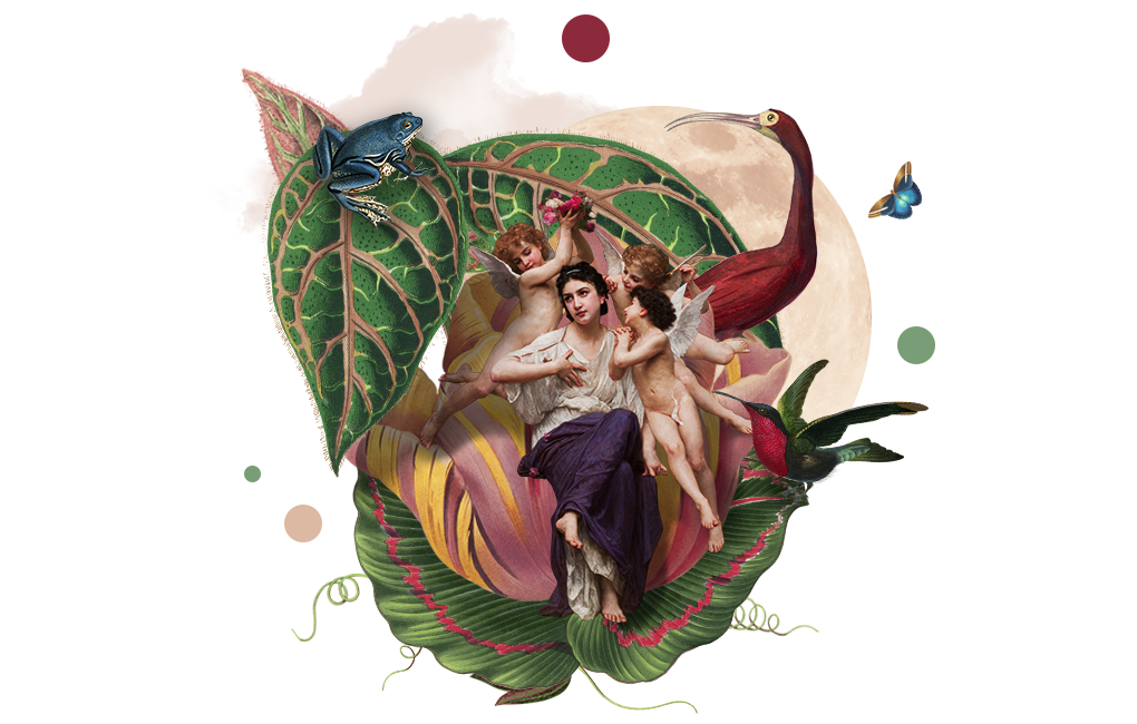 Un collage avec une figure de la renaissance dans une coquille